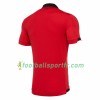 Tenue Albanie Domicile 2019 Maillot de Foot